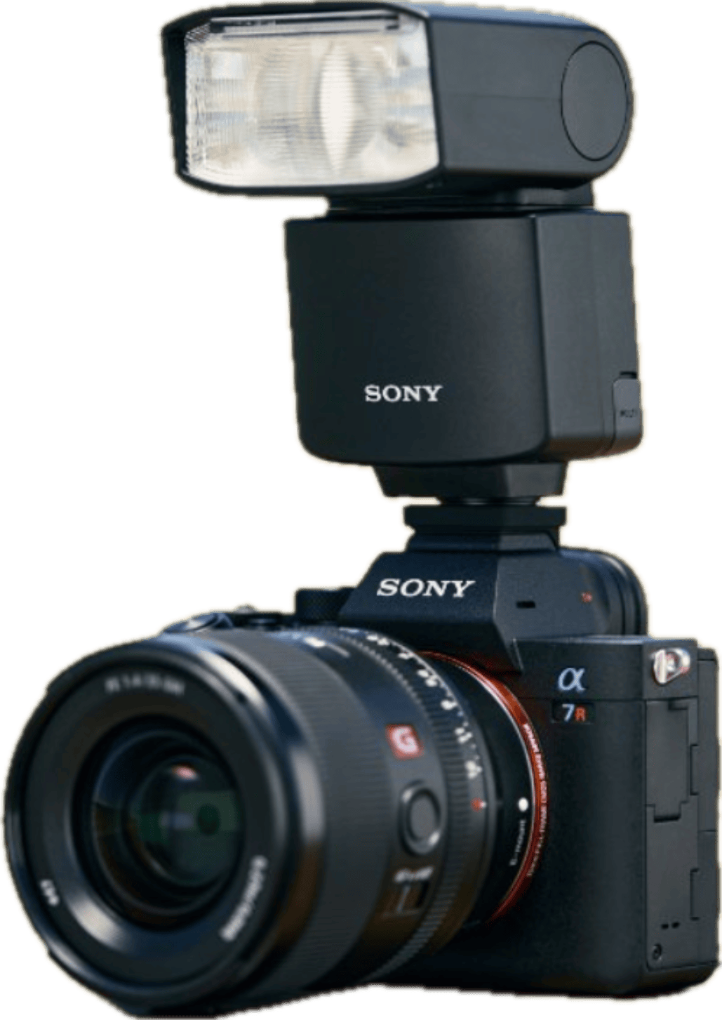 Videocamera professionale aggiuntiva