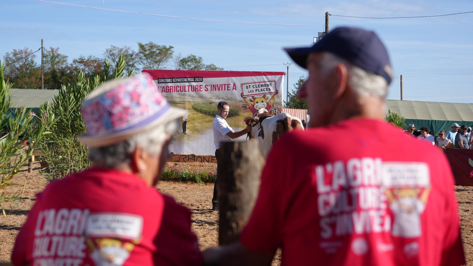 Cattle competition seen behind two people wearing the event colours