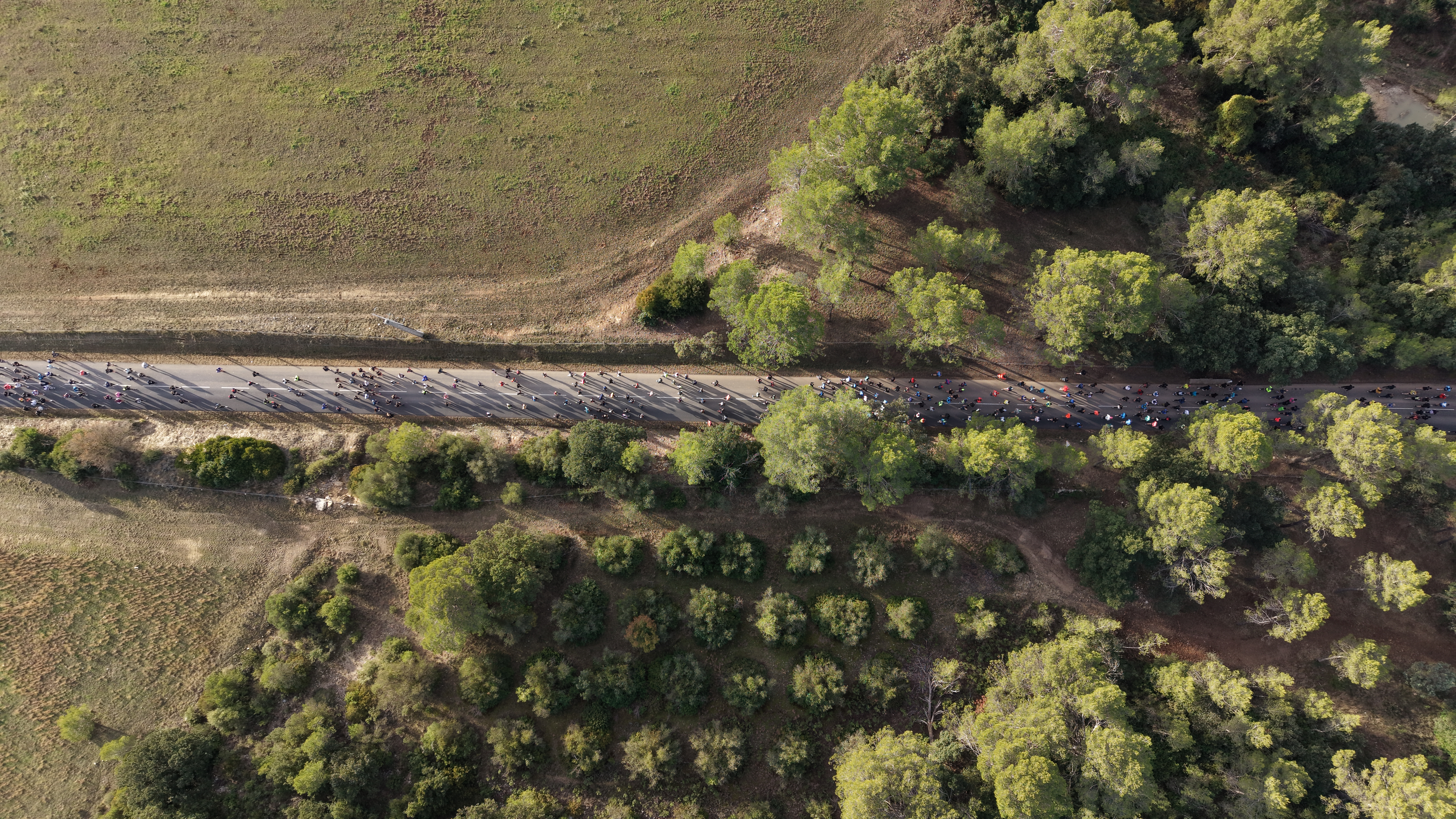 Couverture de l'article